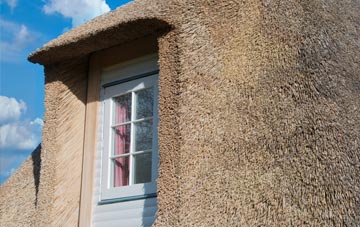 Treleigh thatch roof disadvantages